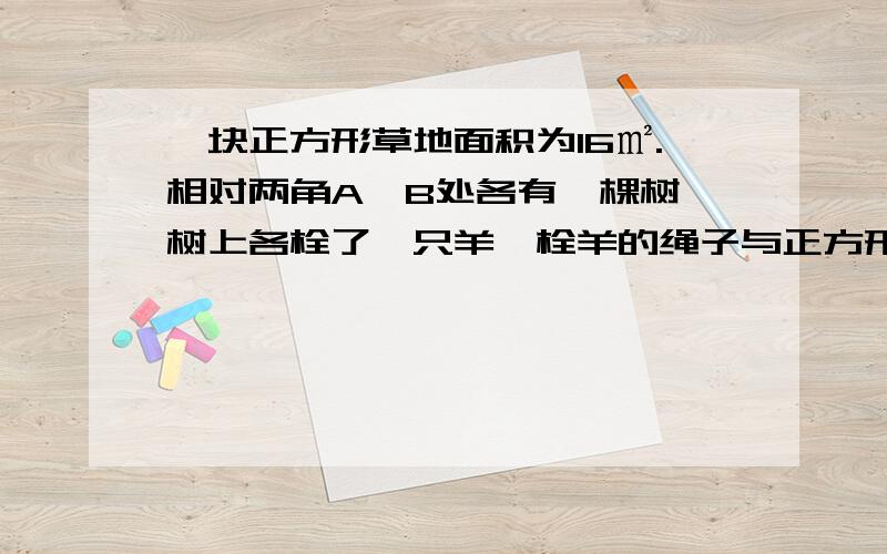 一块正方形草地面积为16㎡.相对两角A,B处各有一棵树,树上各栓了一只羊,栓羊的绳子与正方形边长相等.两只羊都能吃草地的面积是多少平方米?