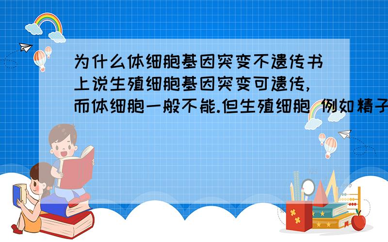 为什么体细胞基因突变不遗传书上说生殖细胞基因突变可遗传,而体细胞一般不能.但生殖细胞 例如精子,是由精元细胞分裂产生的,精元细胞是体细胞,那为什么体细胞基因突变不能遗传呢?