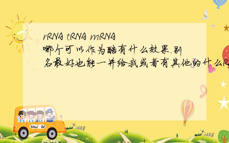 rRNA tRNA mRNA哪个可以作为酶有什么效果.别名最好也能一并给我或者有其他的什么RNA是酶告诉我也可以，另外内个EcoRI算么