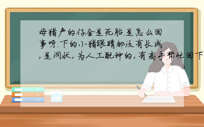 母猪产的仔全是死胎.是怎么回事呀.下的小猪眼睛都没有长成,是洞状,为人工配种的,有高手帮忙回下是怎么个情况.