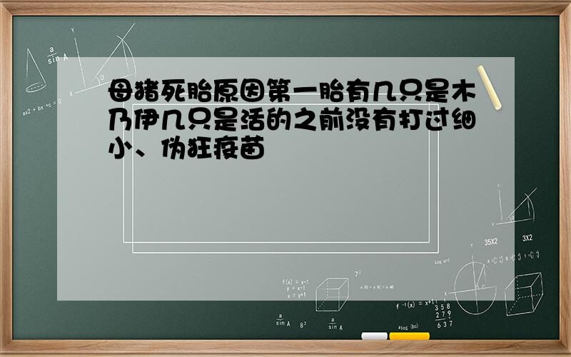 母猪死胎原因第一胎有几只是木乃伊几只是活的之前没有打过细小、伪狂疫苗