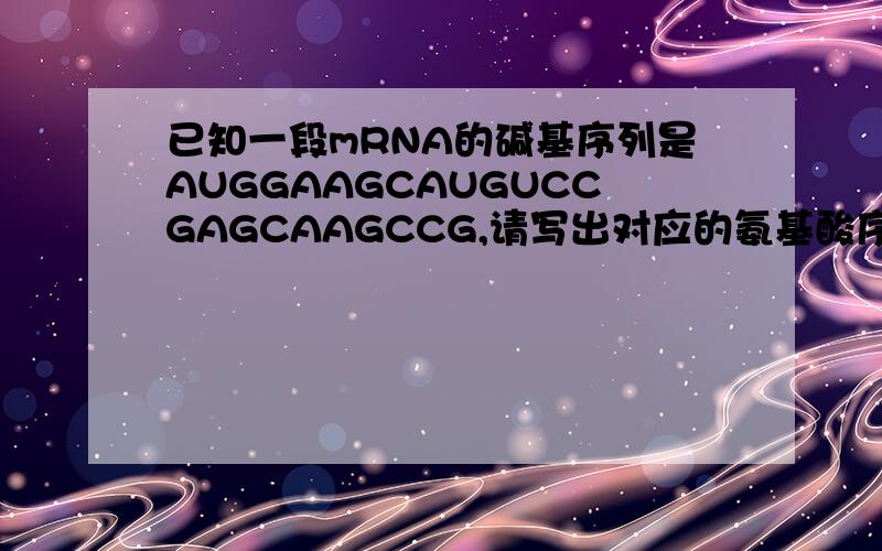 已知一段mRNA的碱基序列是AUGGAAGCAUGUCCGAGCAAGCCG,请写出对应的氨基酸序列