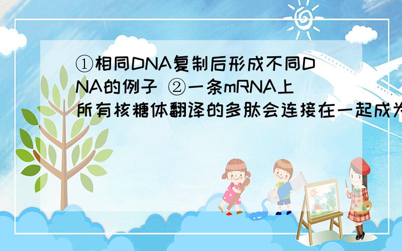 ①相同DNA复制后形成不同DNA的例子 ②一条mRNA上所有核糖体翻译的多肽会连接在一起成为一条链吗