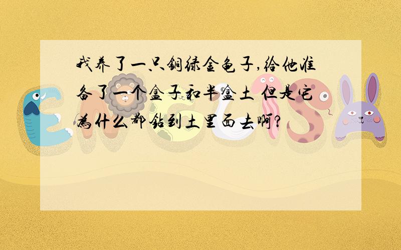 我养了一只铜绿金龟子,给他准备了一个盒子和半盒土 但是它为什么都钻到土里面去啊?