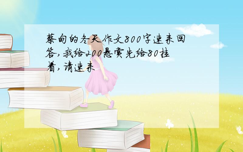 蔡甸的冬天作文800字速来回答,我给200悬赏先给80挂着,请速来