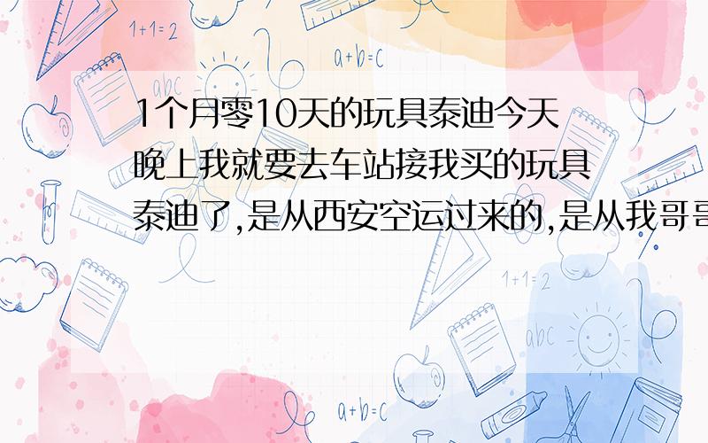 1个月零10天的玩具泰迪今天晚上我就要去车站接我买的玩具泰迪了,是从西安空运过来的,是从我哥哥朋友那买的.应该是健康的.我应该怎么样养它.照顾它呢.