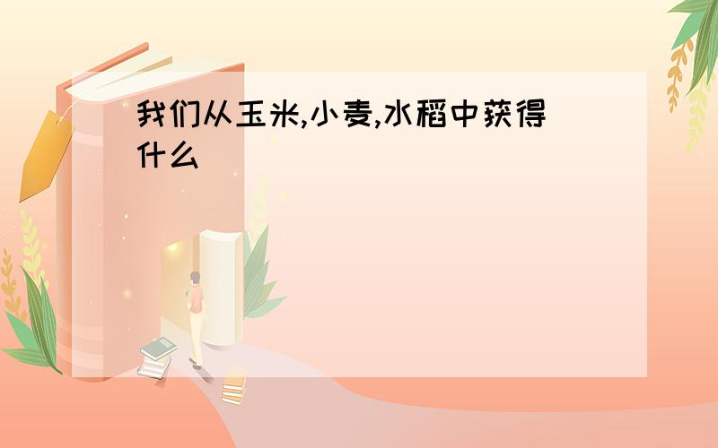 我们从玉米,小麦,水稻中获得什么