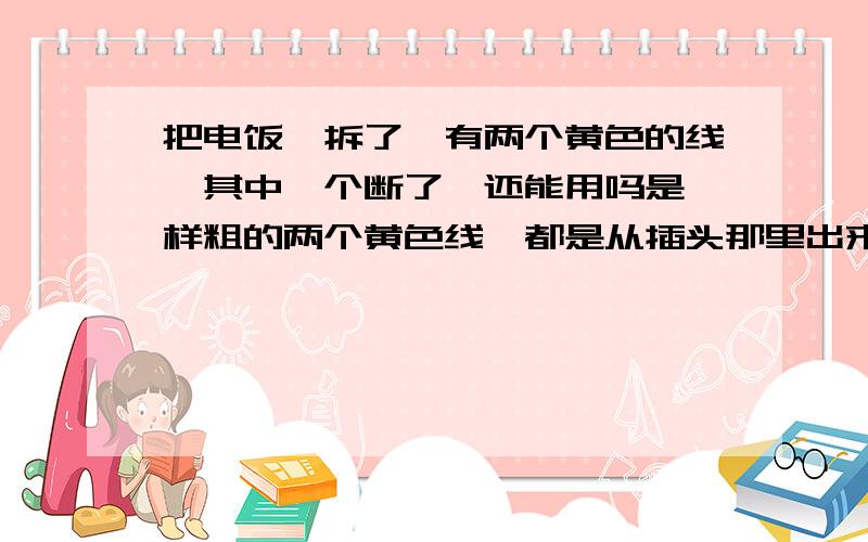 把电饭煲拆了,有两个黄色的线,其中一个断了,还能用吗是一样粗的两个黄色线,都是从插头那里出来的,一根接在外壳上的 ,另外一根好像是接在底子上的,刚才煮了饭是正常的,但是这样安不安