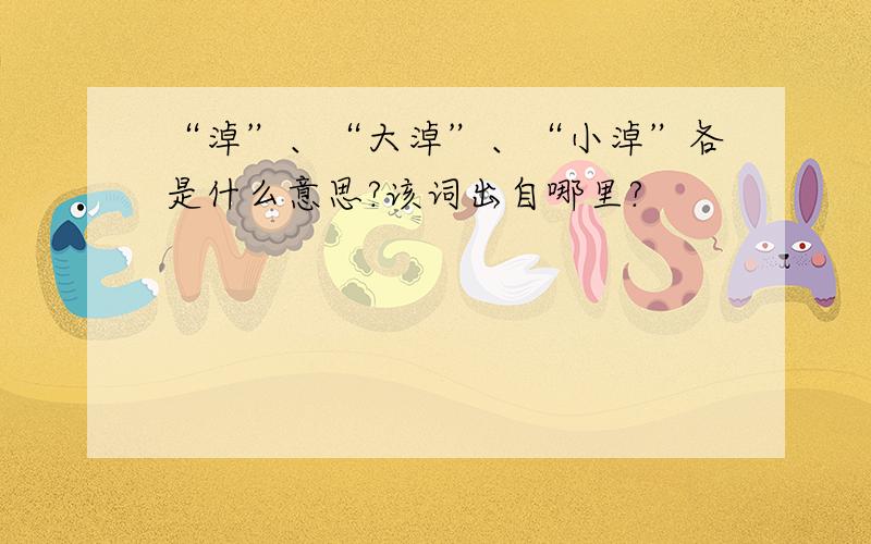 “淖”、“大淖”、“小淖”各是什么意思?该词出自哪里?