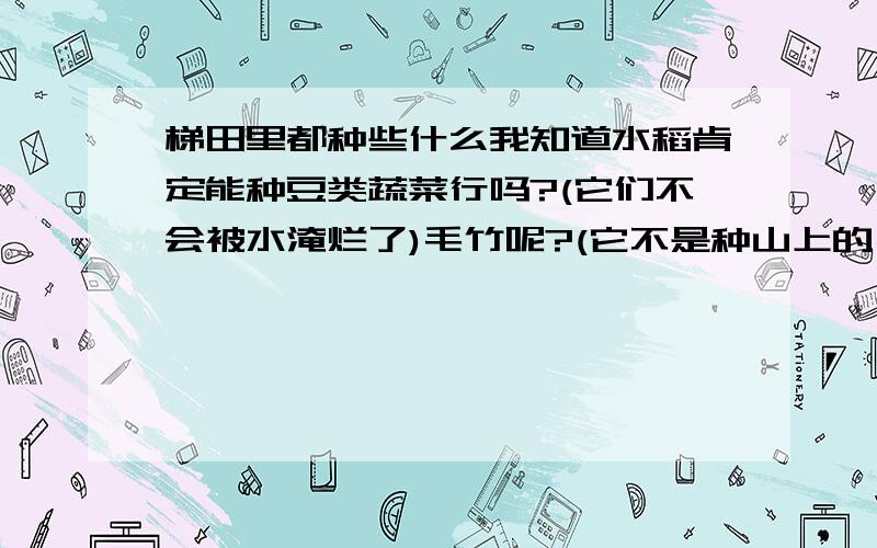 梯田里都种些什么我知道水稻肯定能种豆类蔬菜行吗?(它们不会被水淹烂了)毛竹呢?(它不是种山上的嘛)我指的是毛竹都是零零散散随便长在山上,不用怎么管它