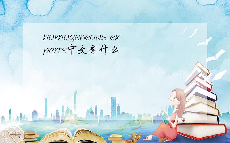 homogeneous experts中文是什么