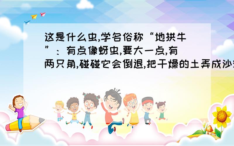 这是什么虫,学名俗称“地拱牛”：有点像蚜虫,要大一点,有两只角,碰碰它会倒退,把干燥的土弄成沙粒,拱出一个漏斗形的漩涡,它在下面呆着,一般小虫进入这个漩涡就爬不出来,然后它会露出