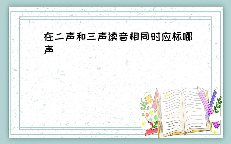 在二声和三声读音相同时应标哪声