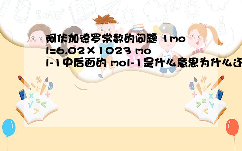 阿伏加德罗常数的问题 1mol=6.02×1023 mol-1中后面的 mol-1是什么意思为什么还有 -1