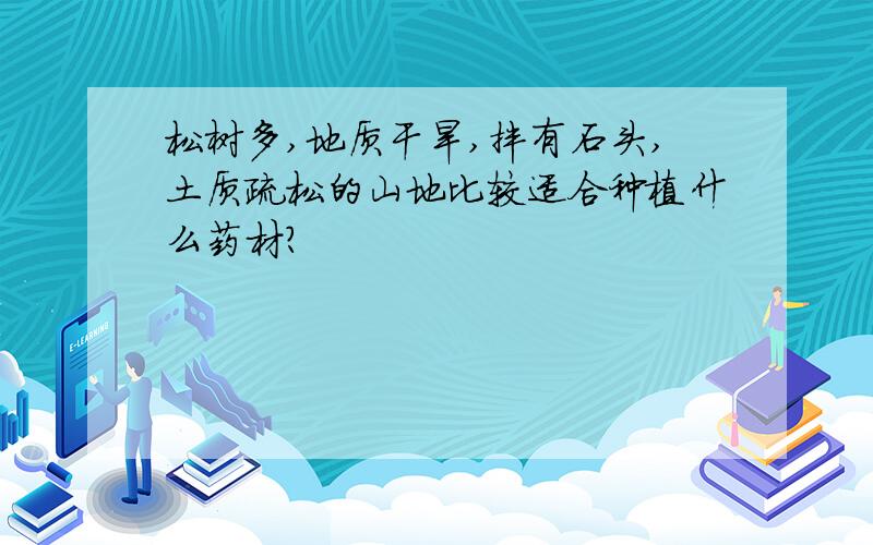 松树多,地质干旱,拌有石头,土质疏松的山地比较适合种植什么药材?