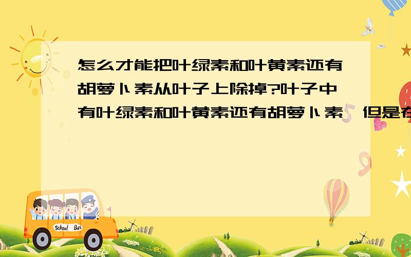 怎么才能把叶绿素和叶黄素还有胡萝卜素从叶子上除掉?叶子中有叶绿素和叶黄素还有胡萝卜素,但是在叶子中的那些东西怎么样才能除去呢`?就是叶子的研磨叶中把那些东西出去.追加100分.