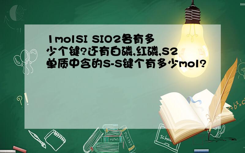 1molSI SIO2各有多少个键?还有白磷,红磷,S2单质中含的S-S键个有多少mol?