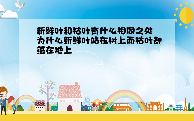 新鲜叶和枯叶有什么相同之处 为什么新鲜叶站在树上而枯叶却落在地上