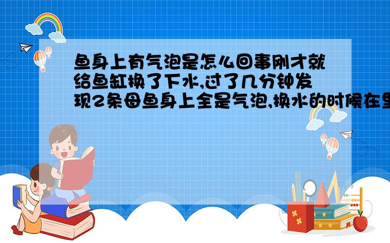 鱼身上有气泡是怎么回事刚才就给鱼缸换了下水,过了几分钟发现2条母鱼身上全是气泡,换水的时候在里面加了点自来水,然后兑的晾了好几天的水.同一鱼缸的鱼只有2条母的身上有,其实鱼身上