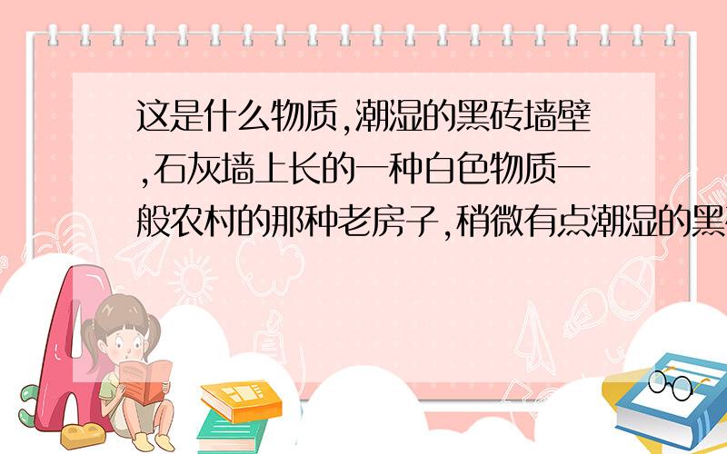 这是什么物质,潮湿的黑砖墙壁,石灰墙上长的一种白色物质一般农村的那种老房子,稍微有点潮湿的黑砖墙壁,或是石灰墙上长的一种白色毛茸茸的,或者说有点像雪花一样的化学物质,有沙子那