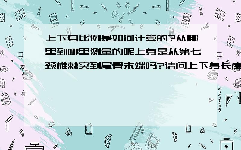 上下身比例是如何计算的?从哪里到哪里测量的呢上身是从第七颈椎棘突到尾骨末端吗?请问上下身长度测量具体是分别从哪里到哪里测量的?上身包含头颈吗?