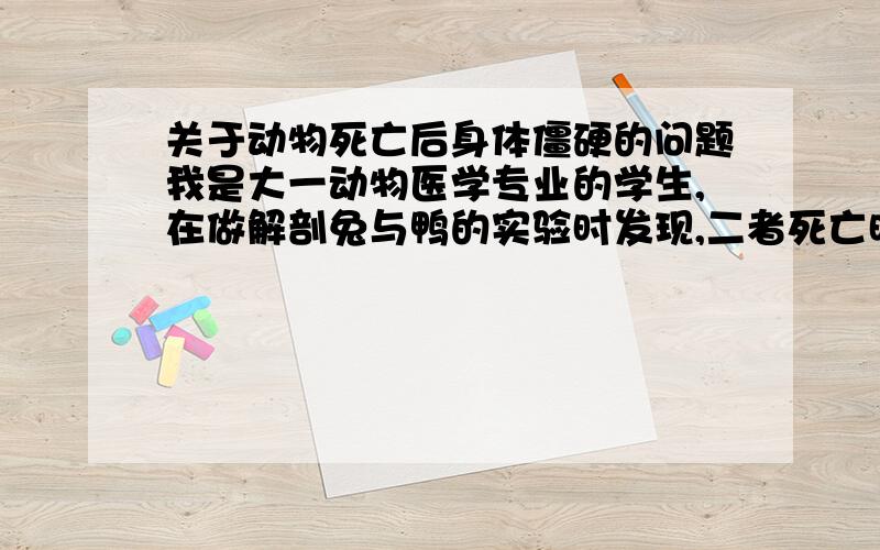 关于动物死亡后身体僵硬的问题我是大一动物医学专业的学生,在做解剖兔与鸭的实验时发现,二者死亡时间大致相同,但经过一段时间后,兔的身体肌肉还较为柔软,鸭的全身肌肉则表现为僵硬,