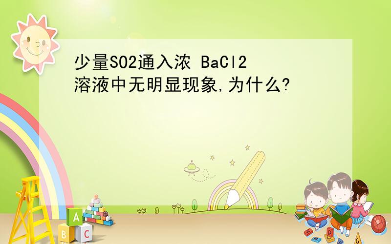 少量SO2通入浓 BaCl2溶液中无明显现象,为什么?