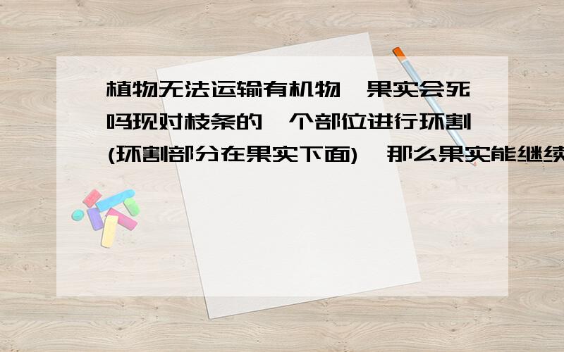 植物无法运输有机物,果实会死吗现对枝条的一个部位进行环割(环割部分在果实下面),那么果实能继续长大吗?答案是不能.为什么呢?环割后,它只是不能把有机物运到下面,但是果实还是能照样