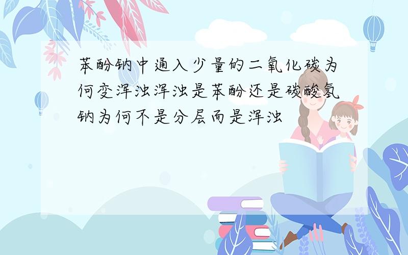 苯酚钠中通入少量的二氧化碳为何变浑浊浑浊是苯酚还是碳酸氢钠为何不是分层而是浑浊