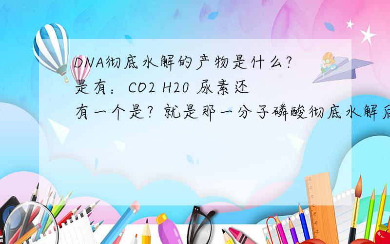 DNA彻底水解的产物是什么?是有：CO2 H20 尿素还有一个是？就是那一分子磷酸彻底水解后的