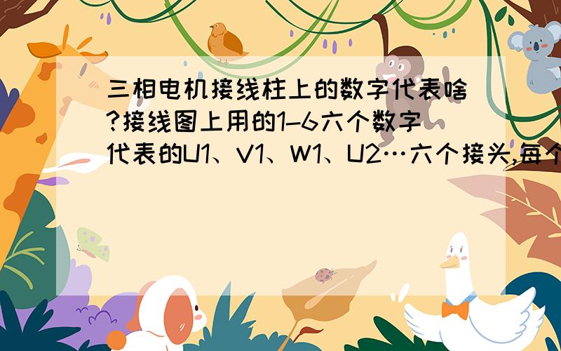 三相电机接线柱上的数字代表啥?接线图上用的1-6六个数字代表的U1、V1、W1、U2…六个接头,每个数字代表哪个接头?在接线柱上怎么接?