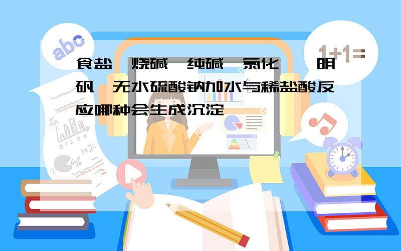 食盐、烧碱、纯碱、氯化钡、明矾、无水硫酸钠加水与稀盐酸反应哪种会生成沉淀