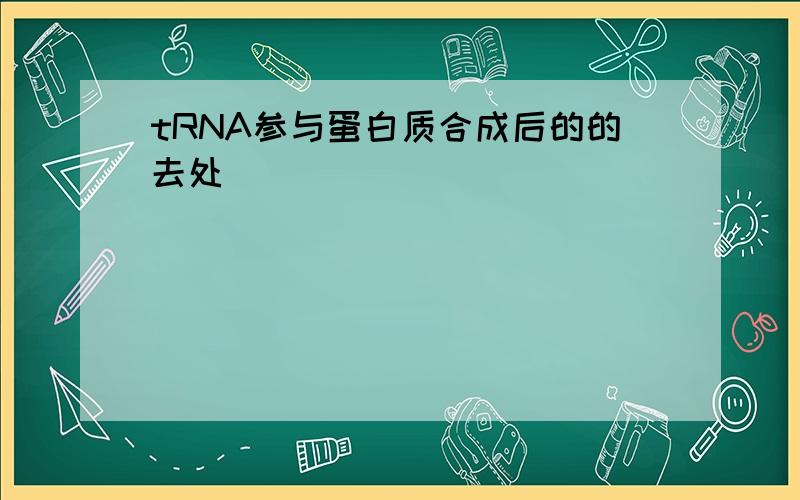 tRNA参与蛋白质合成后的的去处