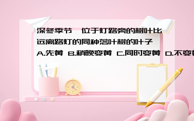 深冬季节,位于灯路旁的树叶比远离路灯的同种落叶树的叶子 A.先黄 B.稍晚变黄 C.同时变黄 D.不变黄