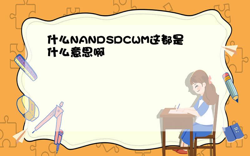 什么NANDSDCWM这都是什么意思啊