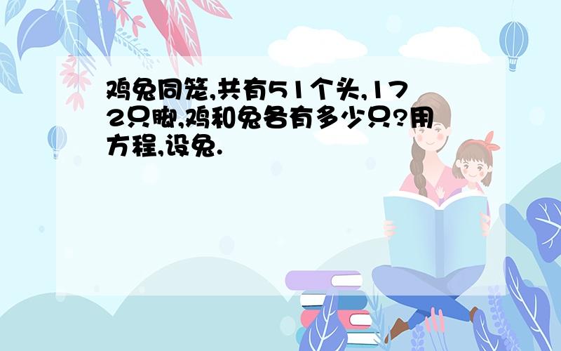 鸡兔同笼,共有51个头,172只脚,鸡和兔各有多少只?用方程,设兔.