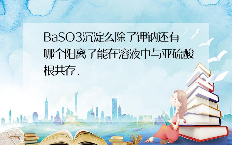 BaSO3沉淀么除了钾钠还有哪个阳离子能在溶液中与亚硫酸根共存.