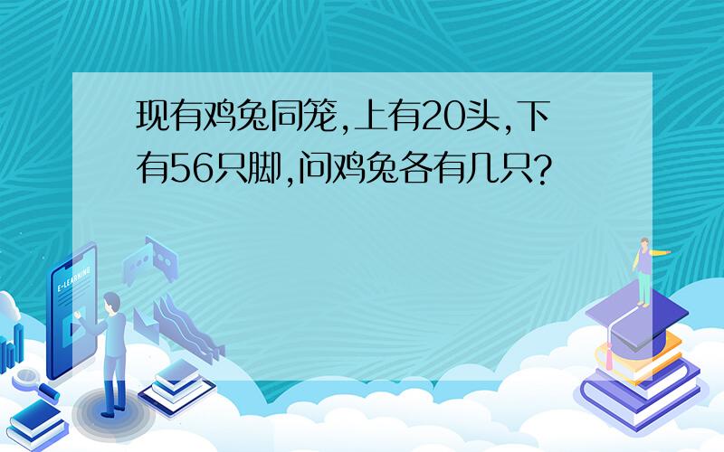 现有鸡兔同笼,上有20头,下有56只脚,问鸡兔各有几只?