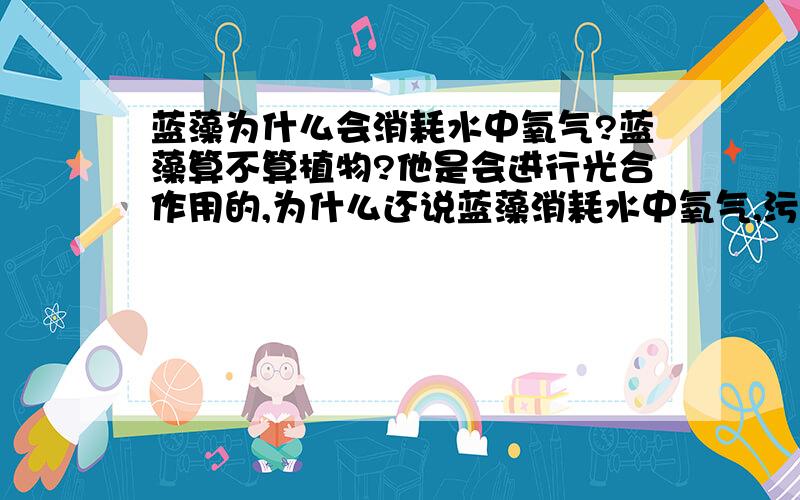 蓝藻为什么会消耗水中氧气?蓝藻算不算植物?他是会进行光合作用的,为什么还说蓝藻消耗水中氧气,污染水质?