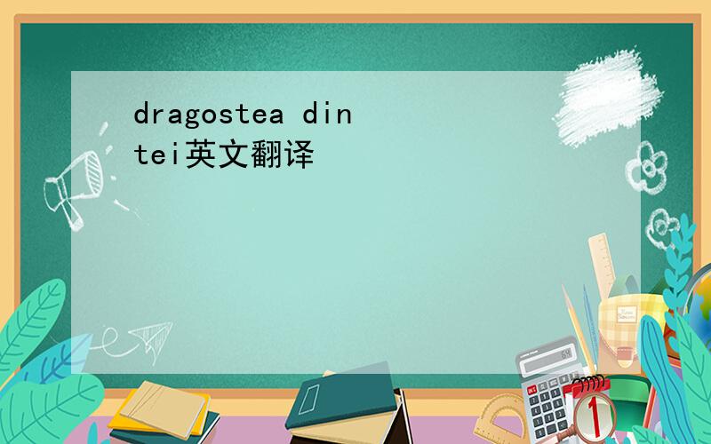 dragostea din tei英文翻译