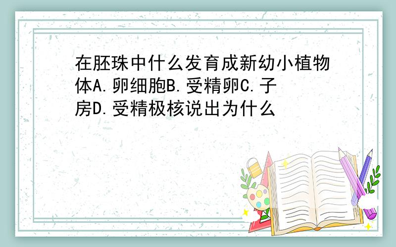 在胚珠中什么发育成新幼小植物体A.卵细胞B.受精卵C.子房D.受精极核说出为什么