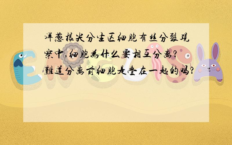 洋葱根尖分生区细胞有丝分裂观察中,细胞为什么要相互分离?难道分离前细胞是叠在一起的吗?