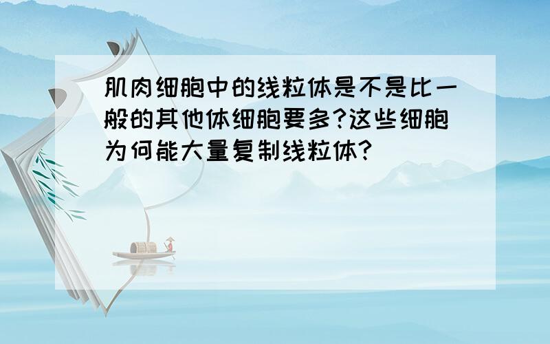 肌肉细胞中的线粒体是不是比一般的其他体细胞要多?这些细胞为何能大量复制线粒体?