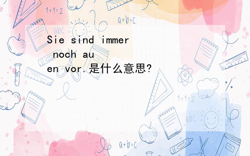 Sie sind immer noch außen vor.是什么意思?