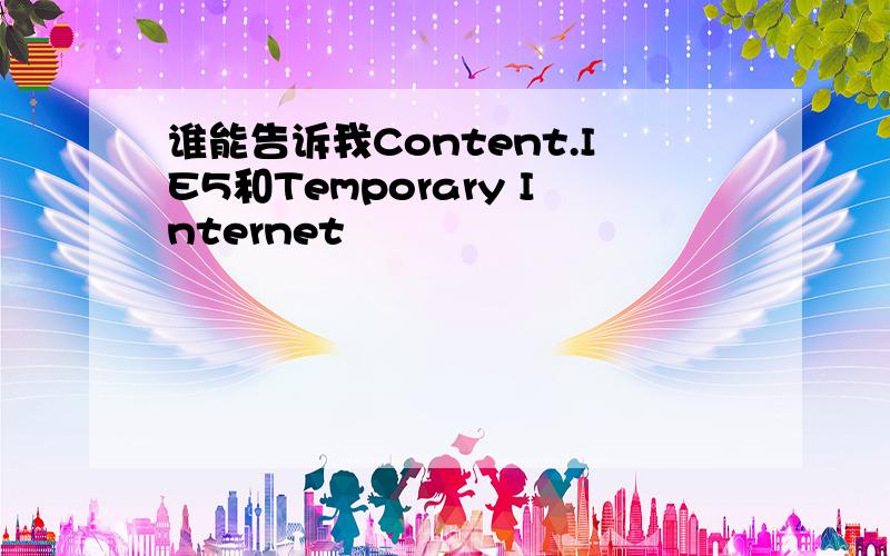 谁能告诉我Content.IE5和Temporary Internet