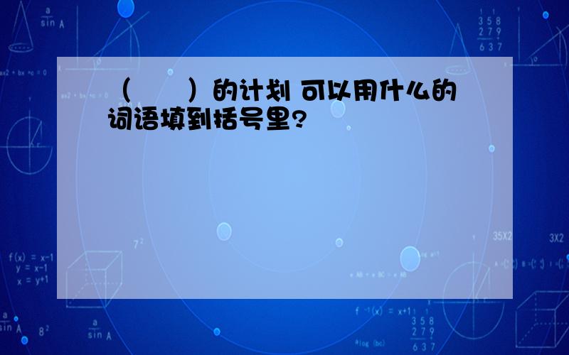 （　　）的计划 可以用什么的词语填到括号里?