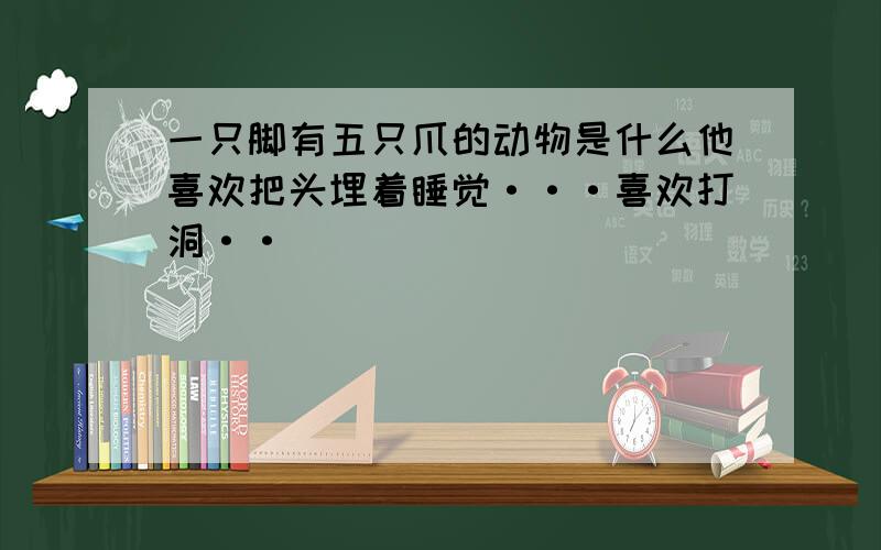 一只脚有五只爪的动物是什么他喜欢把头埋着睡觉···喜欢打洞··