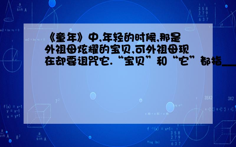 《童年》中,年轻的时候,那是外祖母炫耀的宝贝,可外祖母现在却要诅咒它.“宝贝”和“它”都指_____.