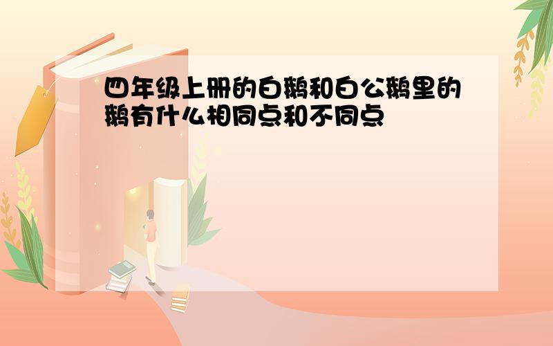 四年级上册的白鹅和白公鹅里的鹅有什么相同点和不同点