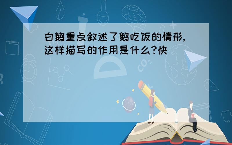 白鹅重点叙述了鹅吃饭的情形,这样描写的作用是什么?快